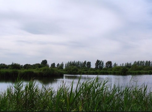 Zesde uitbreiding van het erkend natuurreservaat E-191 “Sint-Maartensheide – De Luysen”