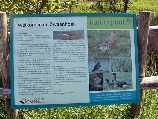 Zesde uitbreiding van het erkend natuurreservaat E-217 “Zwaanhoek” te Oudenburg en Oostende