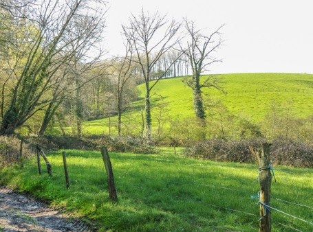 Zevende uitbreiding van het erkend natuurreservaat E-034 “Burreken” te Brakel, Horebeke en Maarkedal