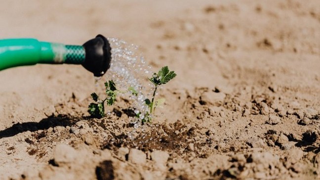 Aanbevelingen voor strategisch watervoorraadbeheer