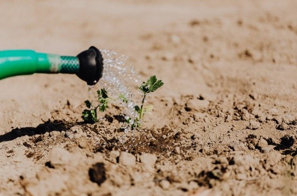 Aanbevelingen voor strategisch watervoorraadbeheer