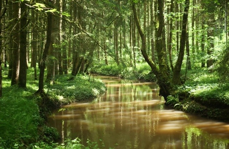 De hervorming van het beheer van de onbevaarbare waterlopen