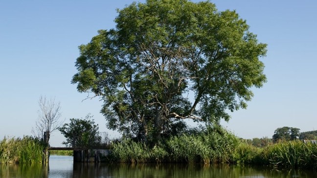  Bufferstroken naast waterlopen (met SALV)
