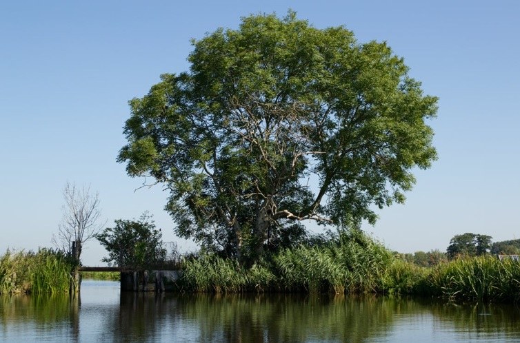  Bufferstroken naast waterlopen (met SALV)