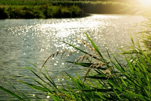 De Fitness check van EU richtlijnen Water