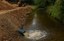 Uitzondering achteruitgangsverbod verplaatsing water of sediment (met SERV)