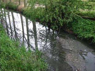 Ontwerp van decreet tot wijziging van de Wet van 28 december 1967 betreffende de onbevaarbare waterlopen, meer bepaald de wijziging van de classificatie en andere diverse wijzigingen