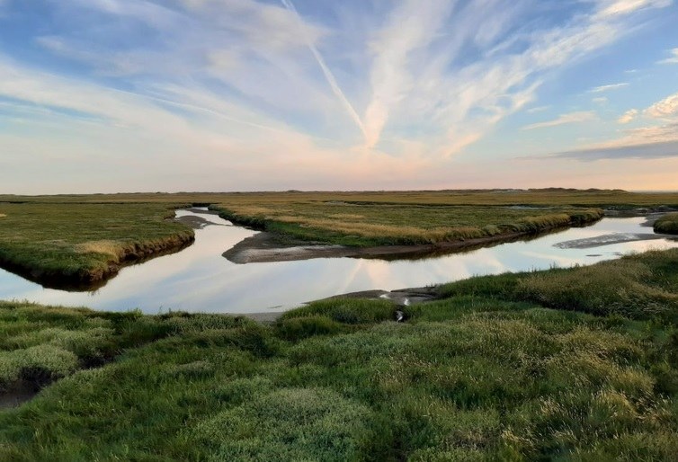 Peilbeheer onbevaarbare waterlopen en grachten (met SALV en SERV)