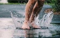 Studienota groenblauwe netwerken en strategisch plan waterbevoorrading