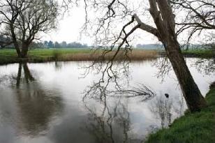 Voorontwerp van de tweede waterbeleidsnota voor de opmaak van de tweede generatie stroomgebiedbeheerplannen (met SERV en SALV)