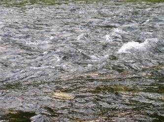 Verantwoordelijkheden en bevoegdheden in het waterzuiveringsbeleid