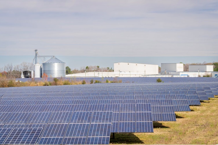 Decreet implementatie RED III + CRMA + NZIA