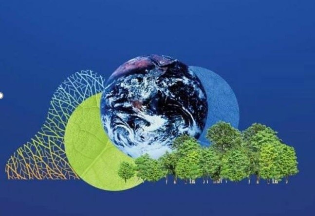 Het ‘fit for 55’ energie- en klimaatpakket