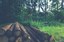 Land Use, Land Use Change: change in land use policy? 