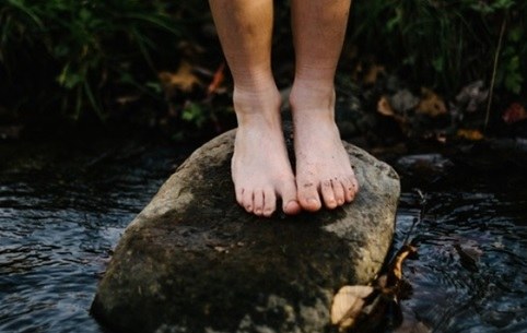 Wat brengt het Estse voorzitterschap voor energie, milieu en klimaat? En hoe zit het met de kaderrichtlijn water?