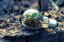EU-Green Deal - focus financiering