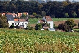 Woonbeleidsplan Vlaanderen 2050 